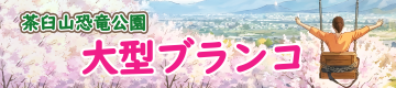 茶臼山大型ブランコ